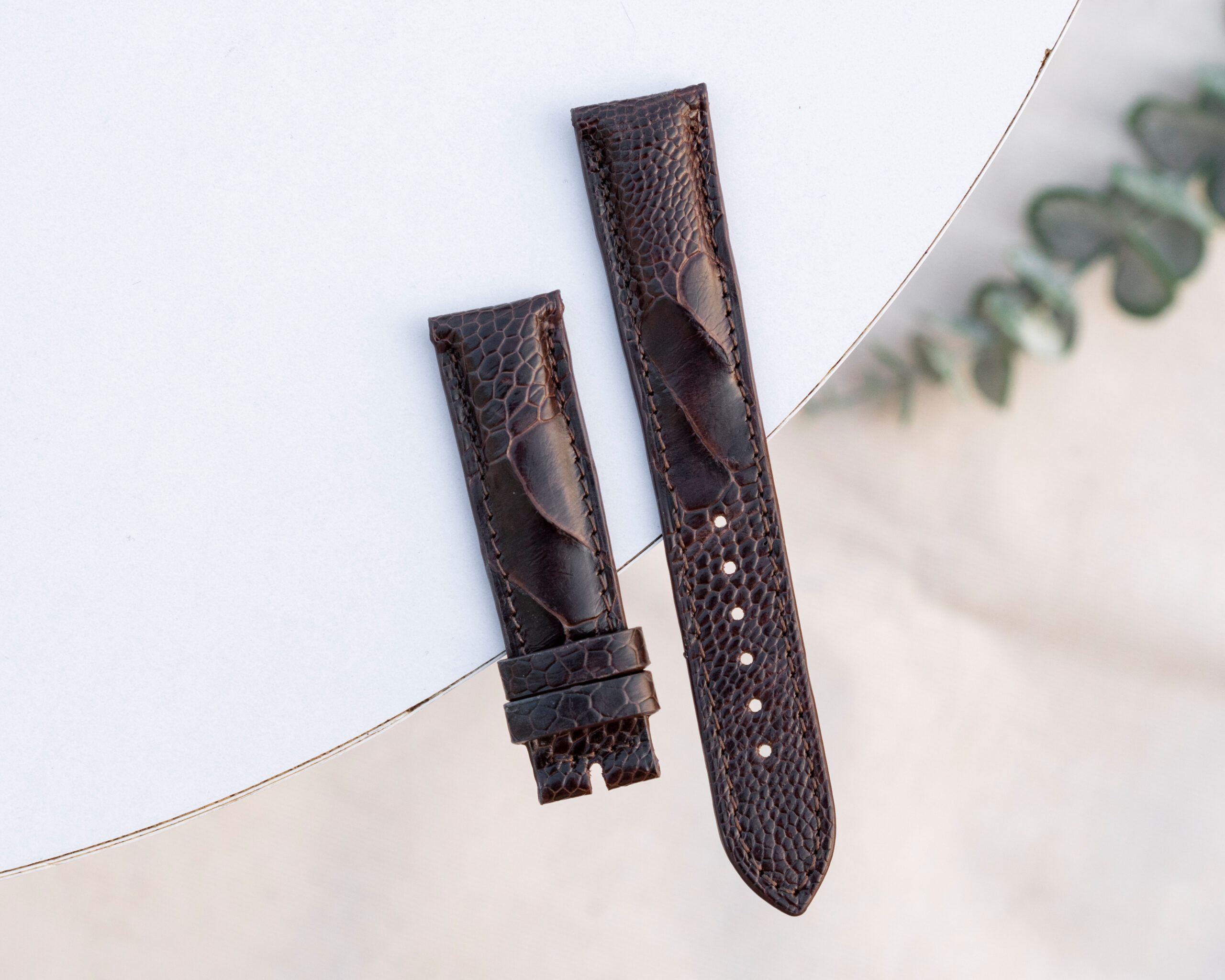 ostrich leather watch strap