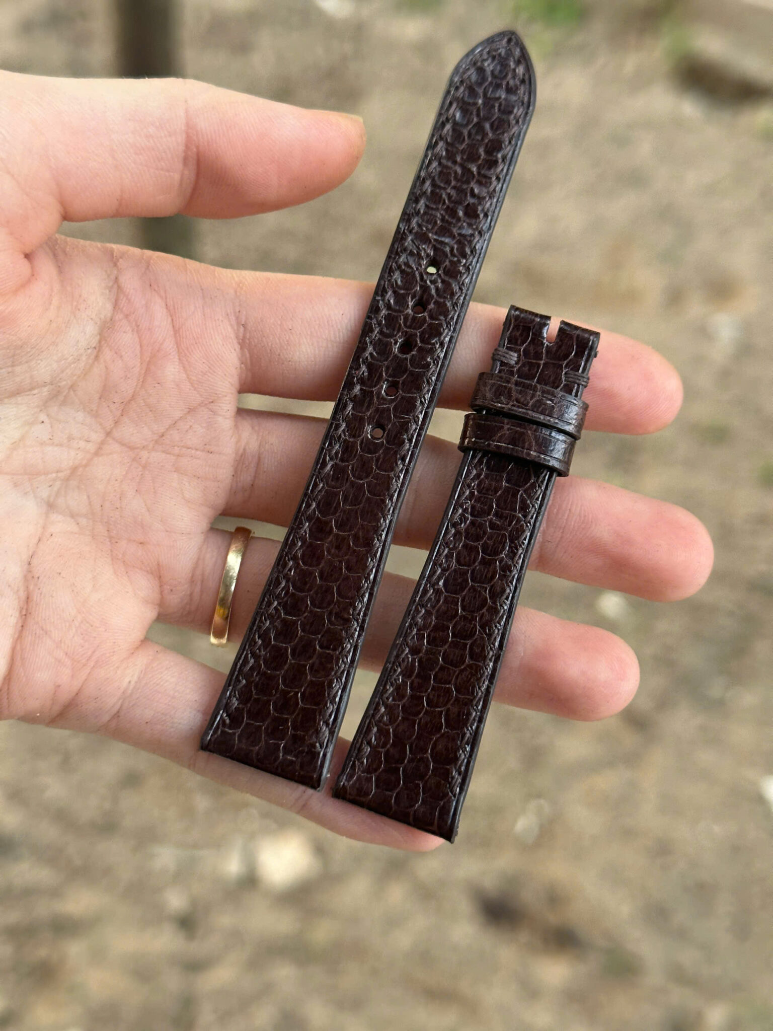 Dark Brown Flat Snake Leather Watch Strap