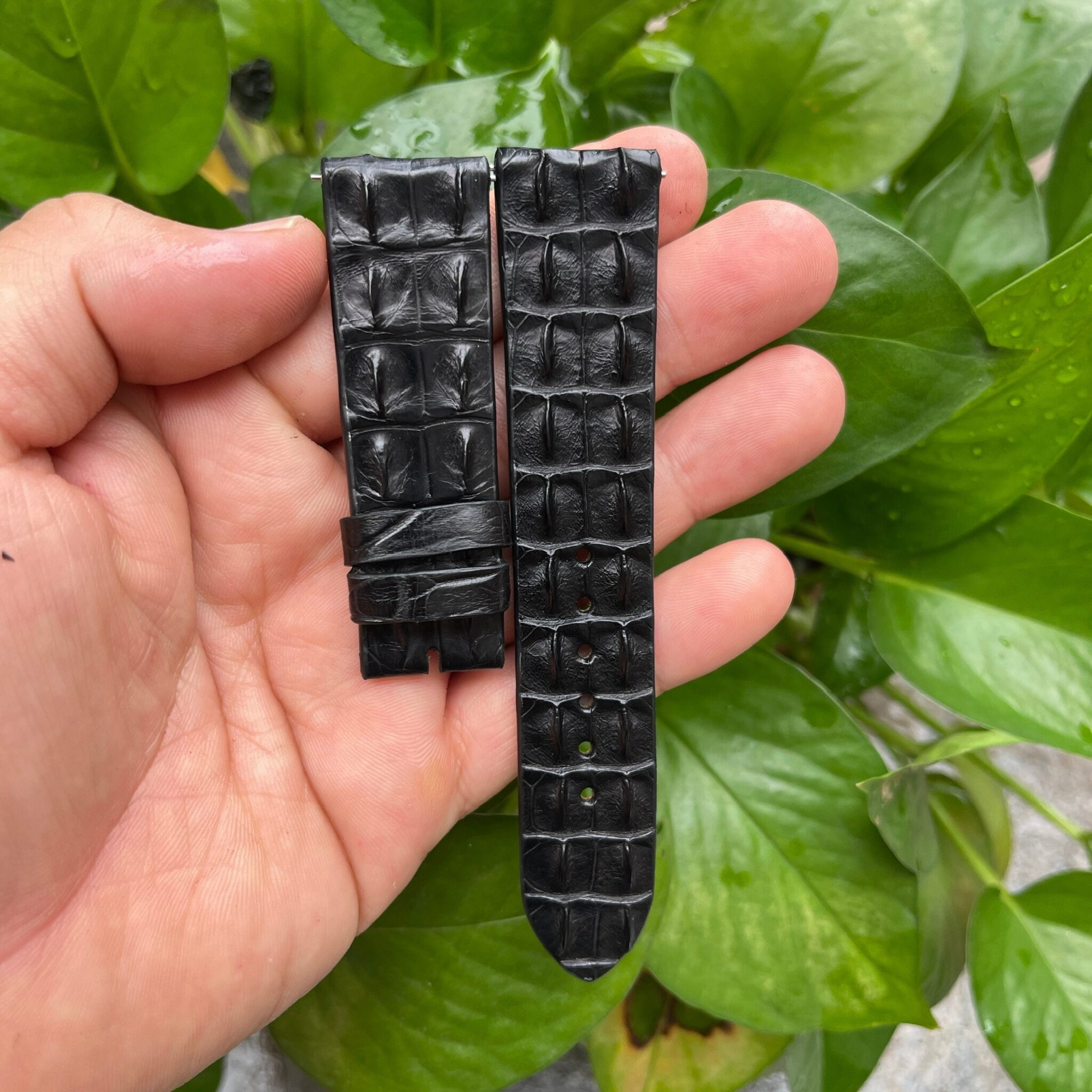 Black Double Hornback Alligator Leather Watch Strap