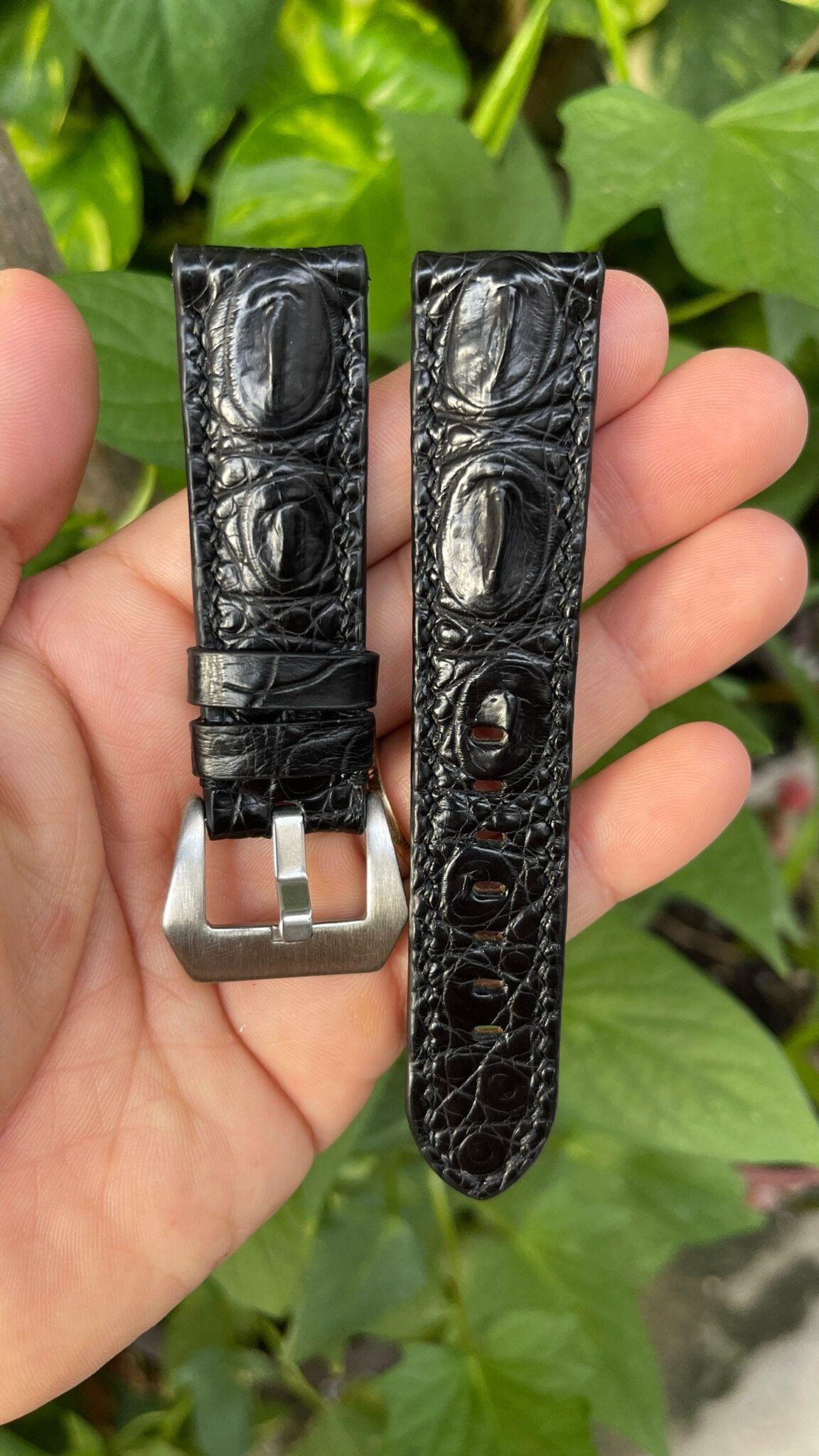 Black Hornback Alligator Leather Watch Strap