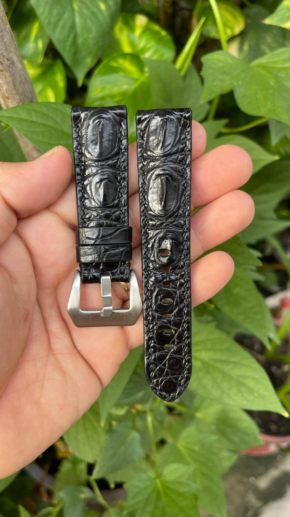 Genuine Black Hornback Alligator Leather Watch Strap 2