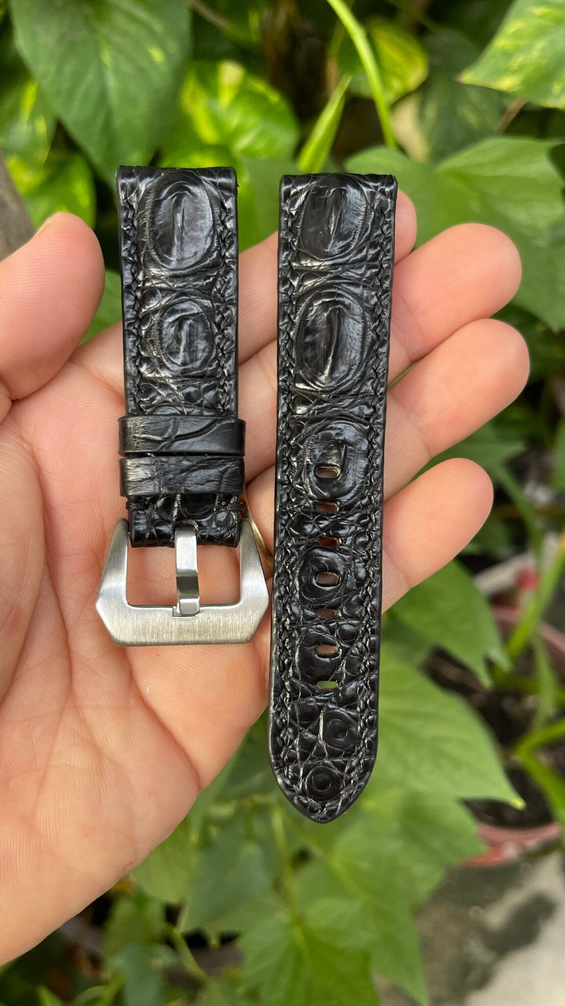 Genuine Black Hornback Alligator Leather Watch Strap 3