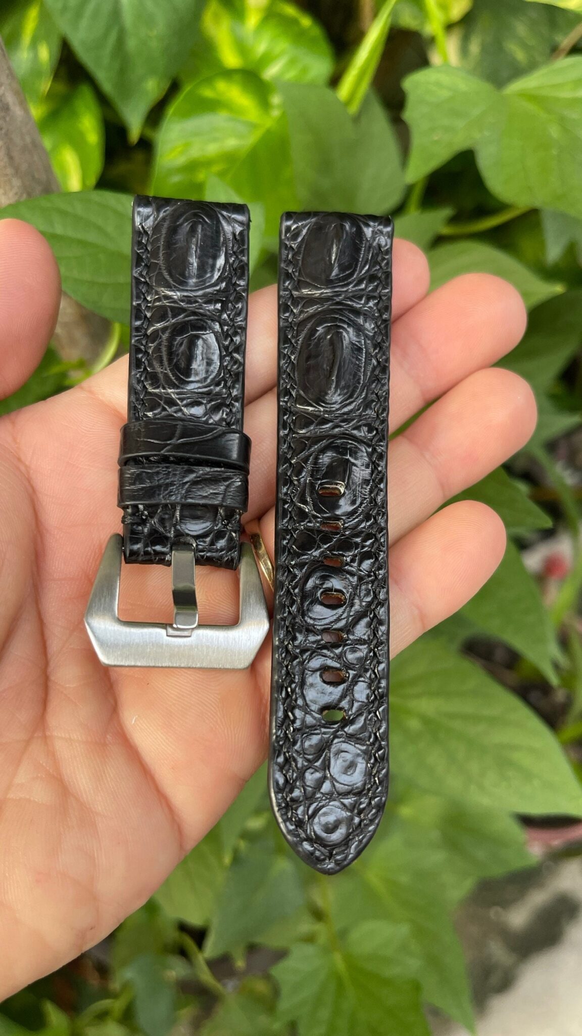 Genuine Black Hornback Alligator Leather Watch Strap 6