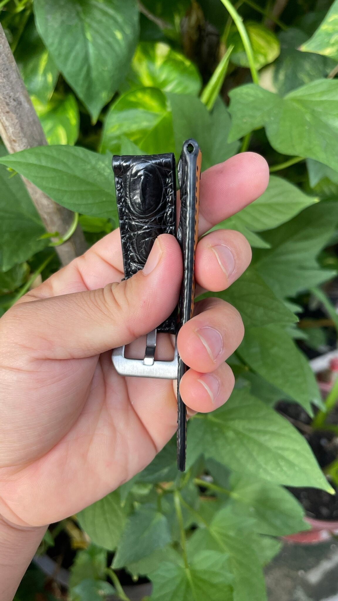 Genuine Black Hornback Alligator Leather Watch Strap 8