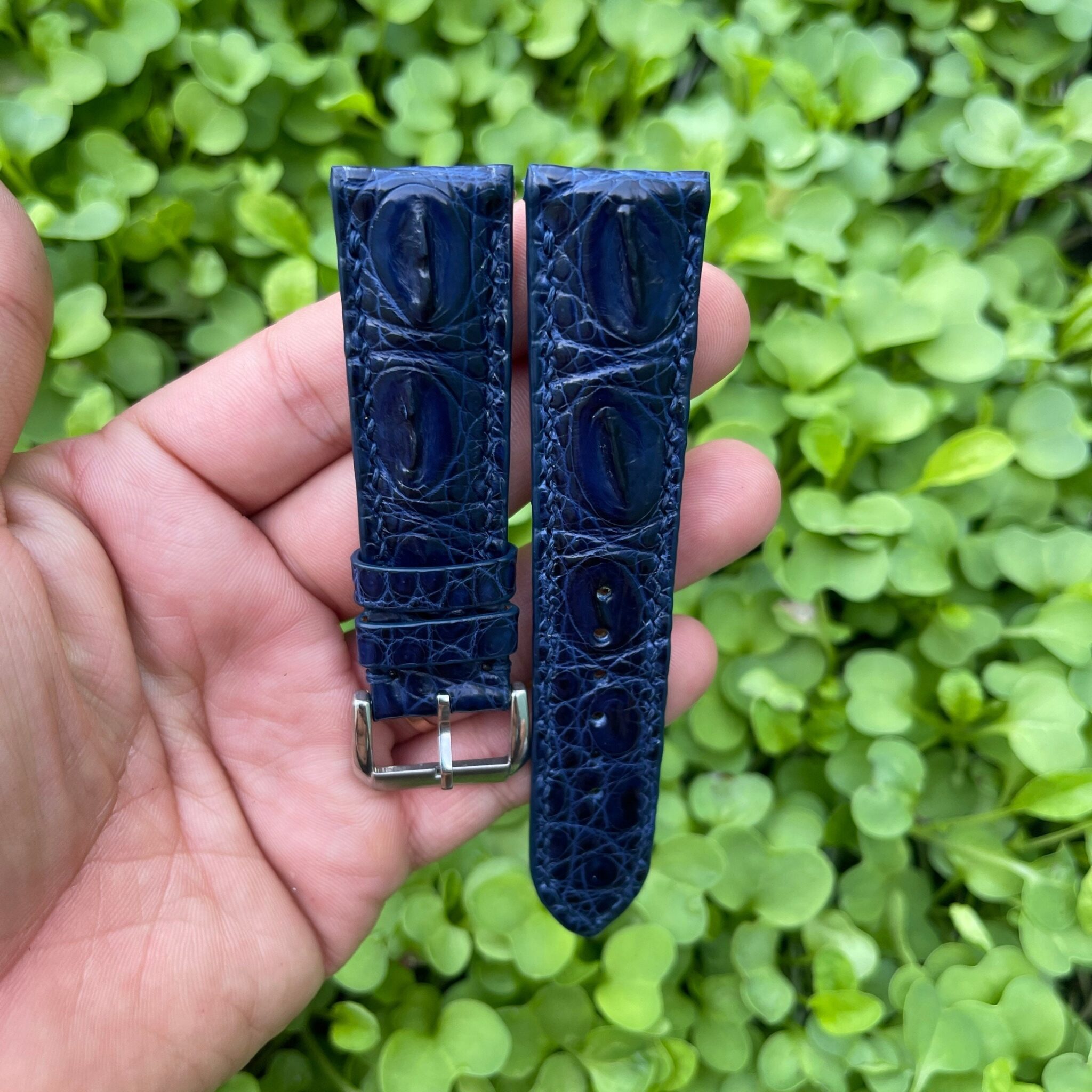 Genuine Blue Double Hornback Alligator Leather Watch Strap 1