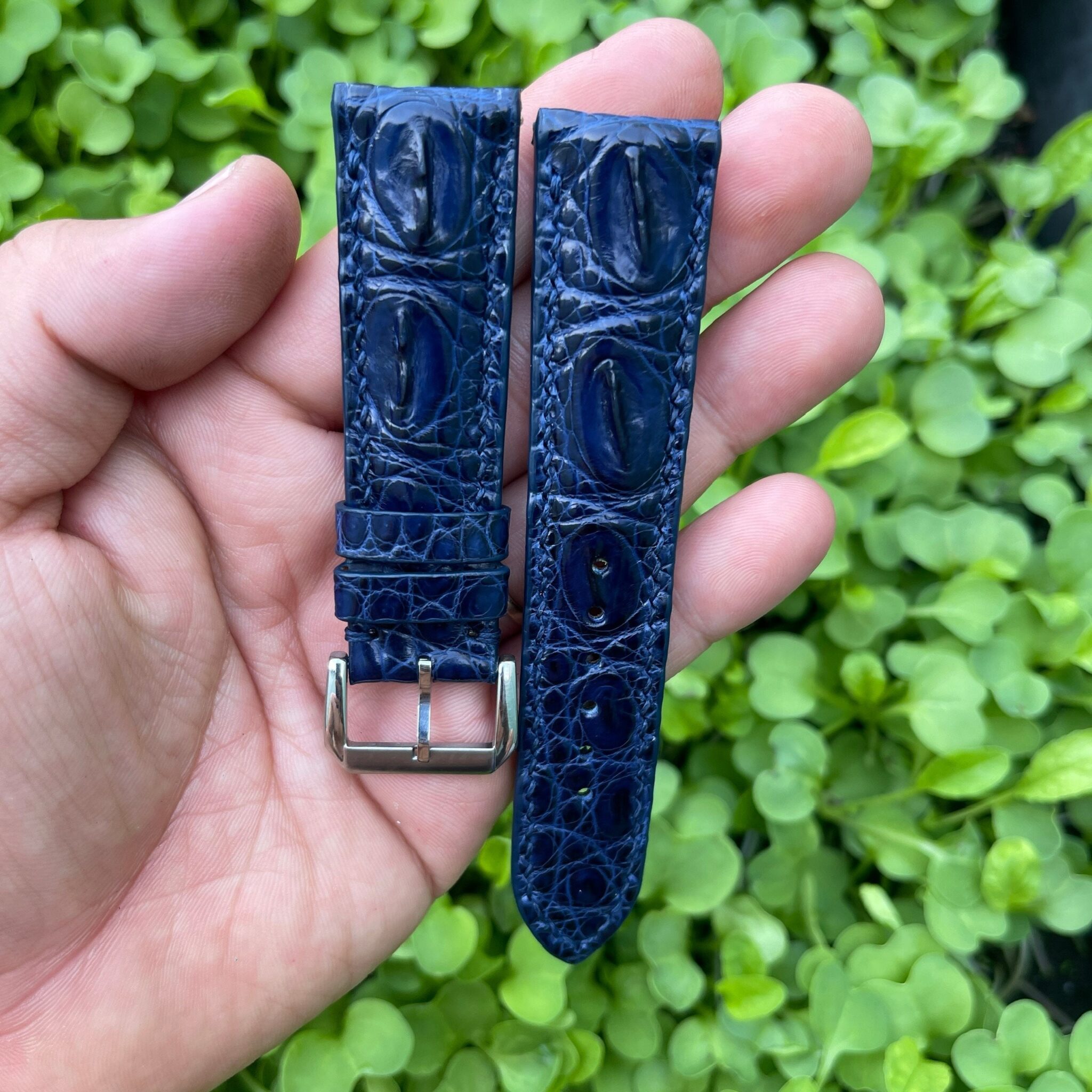 Genuine Blue Double Hornback Alligator Leather Watch Strap 10