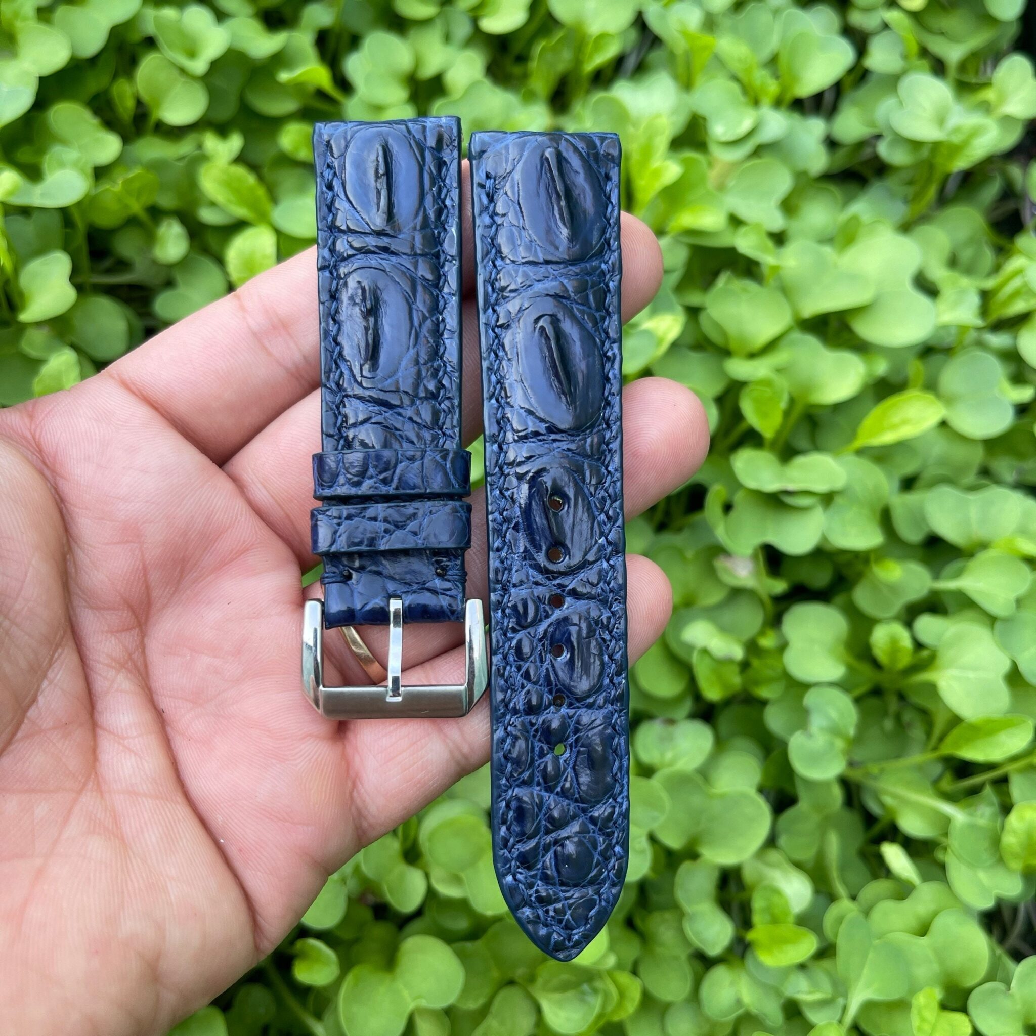 Genuine Blue Double Hornback Alligator Leather Watch Strap 2