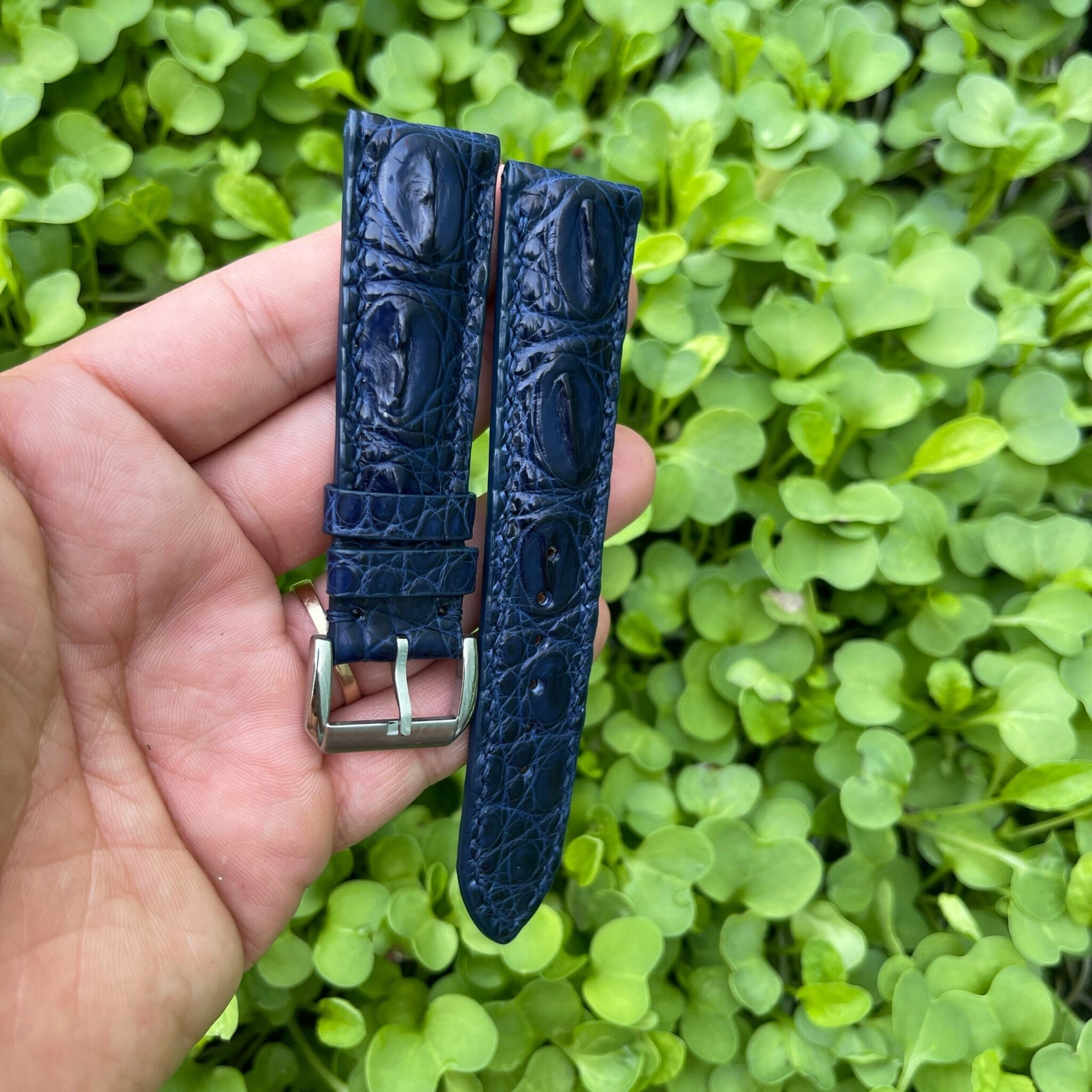 Genuine Blue Double Hornback Alligator Leather Watch Strap 3