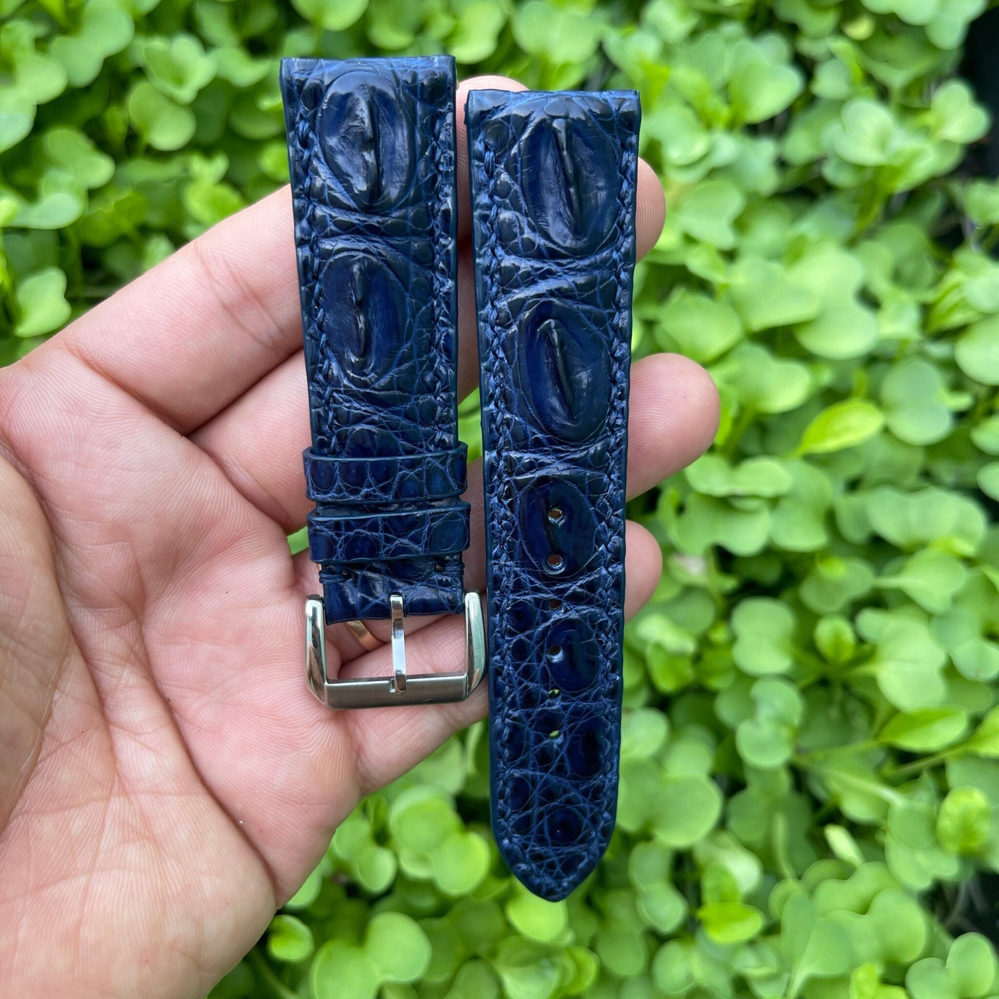 Genuine Blue Double Hornback Alligator Leather Watch Strap 4
