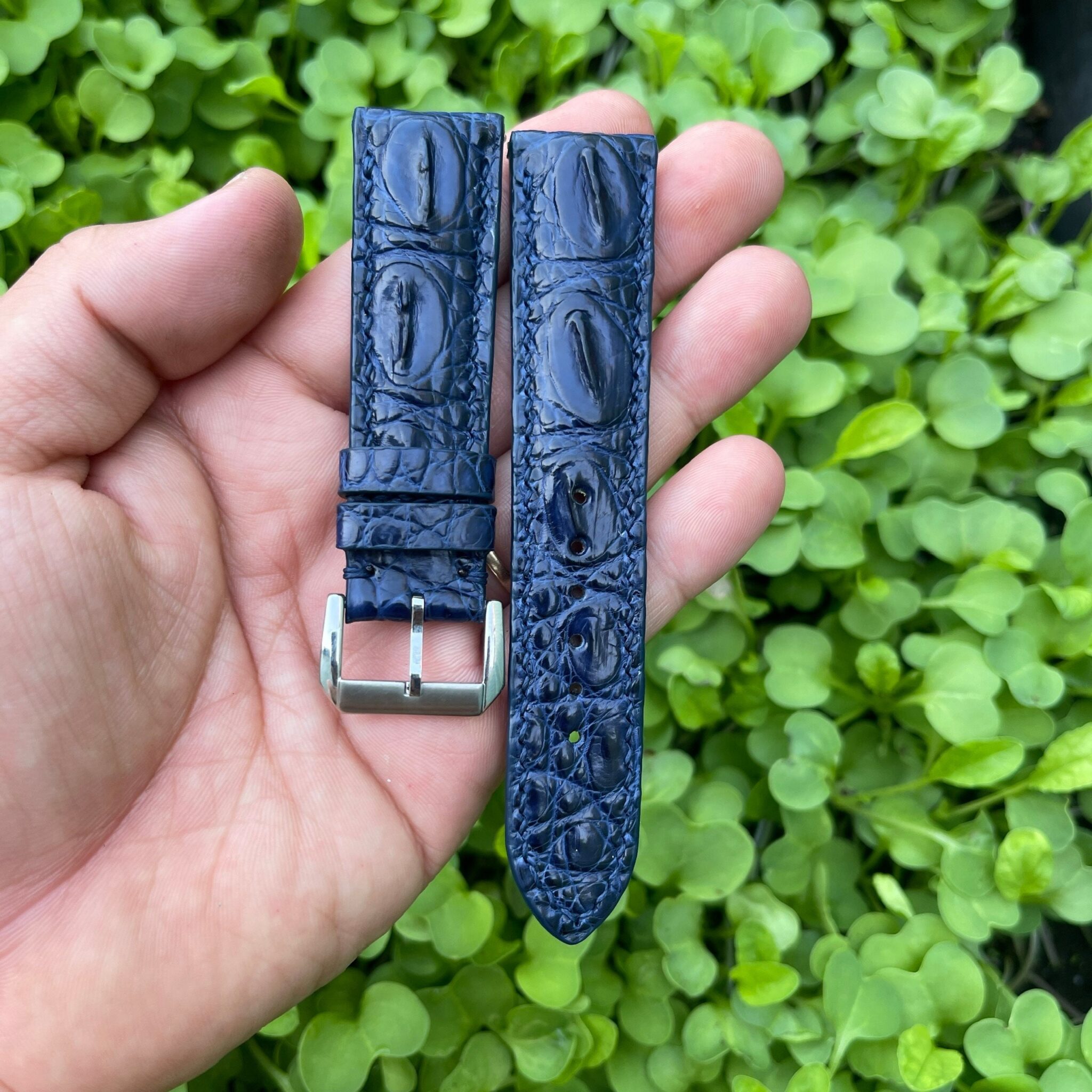Genuine Blue Double Hornback Alligator Leather Watch Strap 9