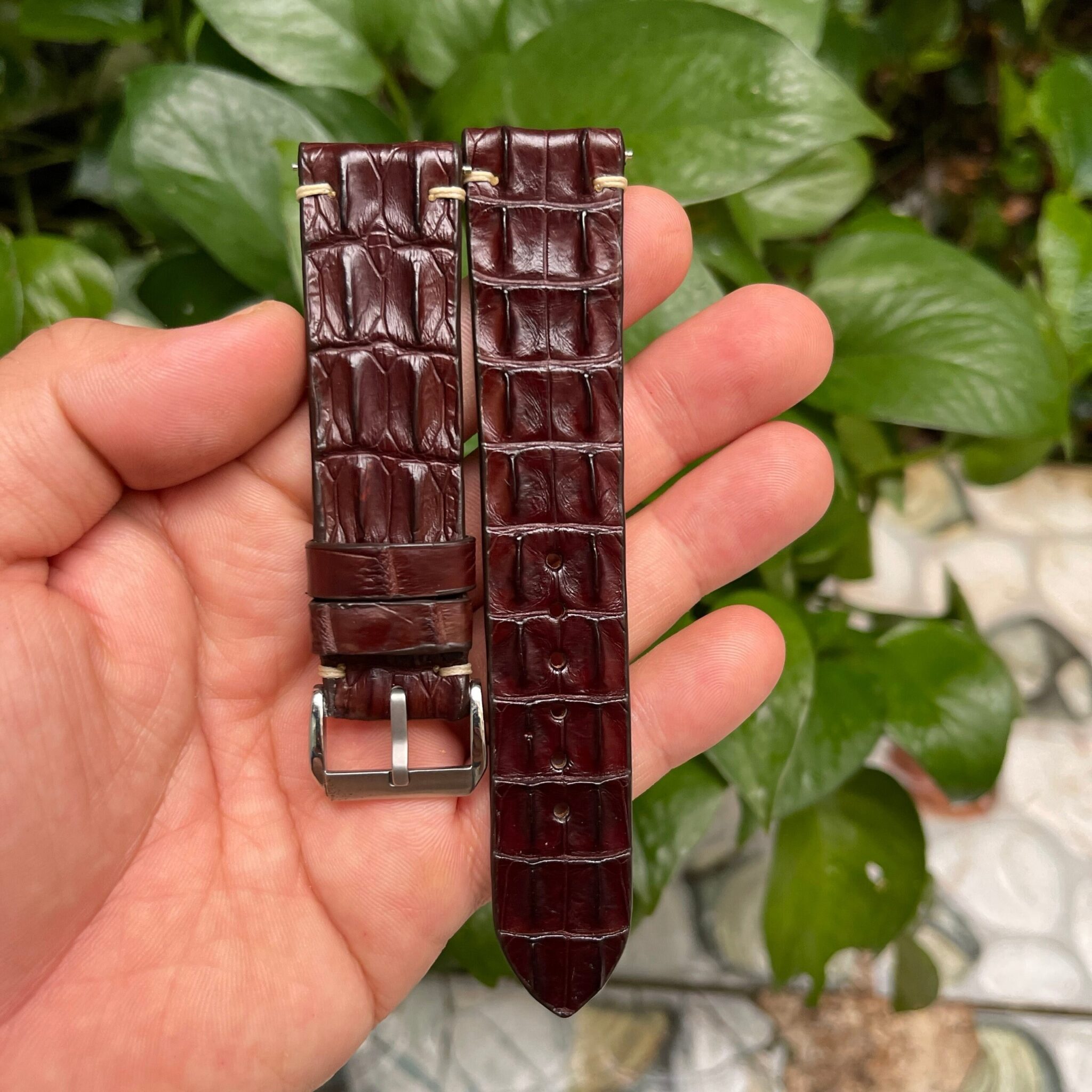 Genuine Brown Double Hornback Alligator Leather Watch Strap 1