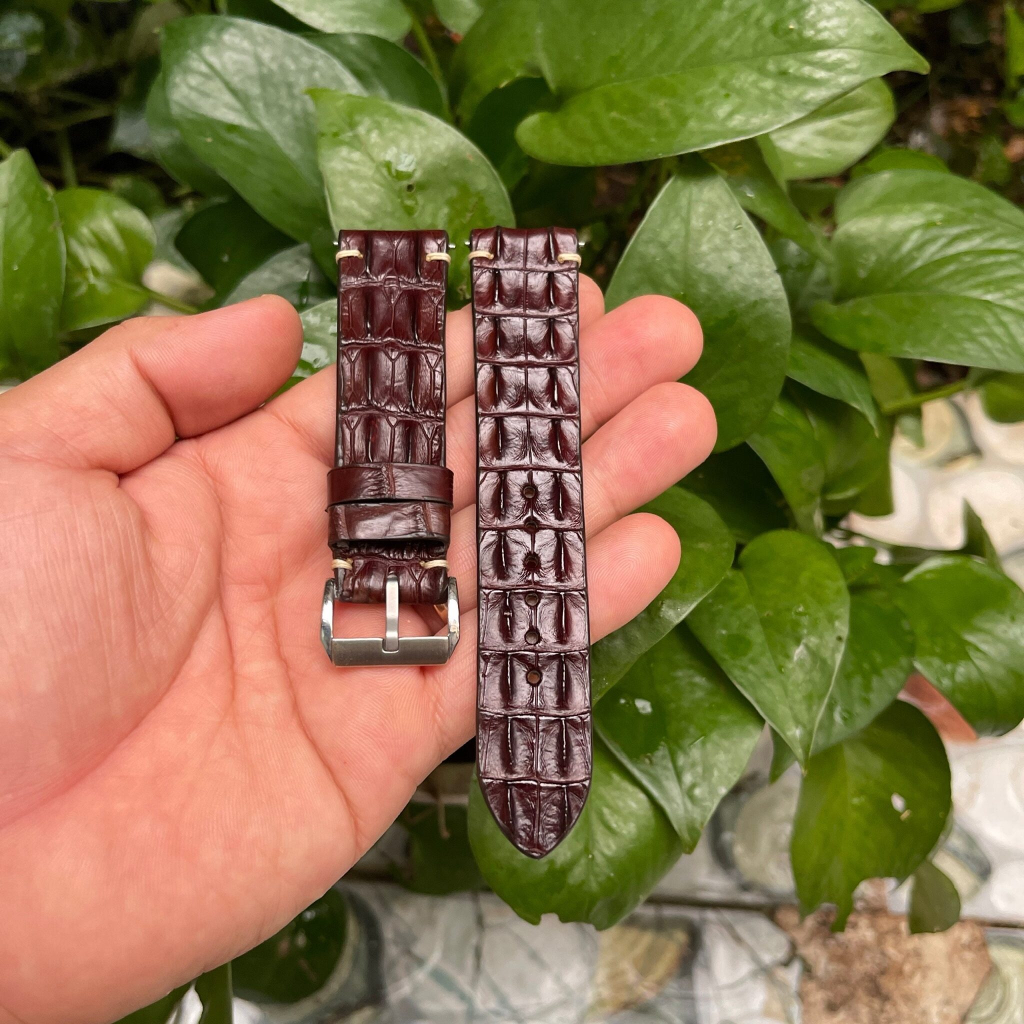 Genuine Brown Double Hornback Alligator Leather Watch Strap 2