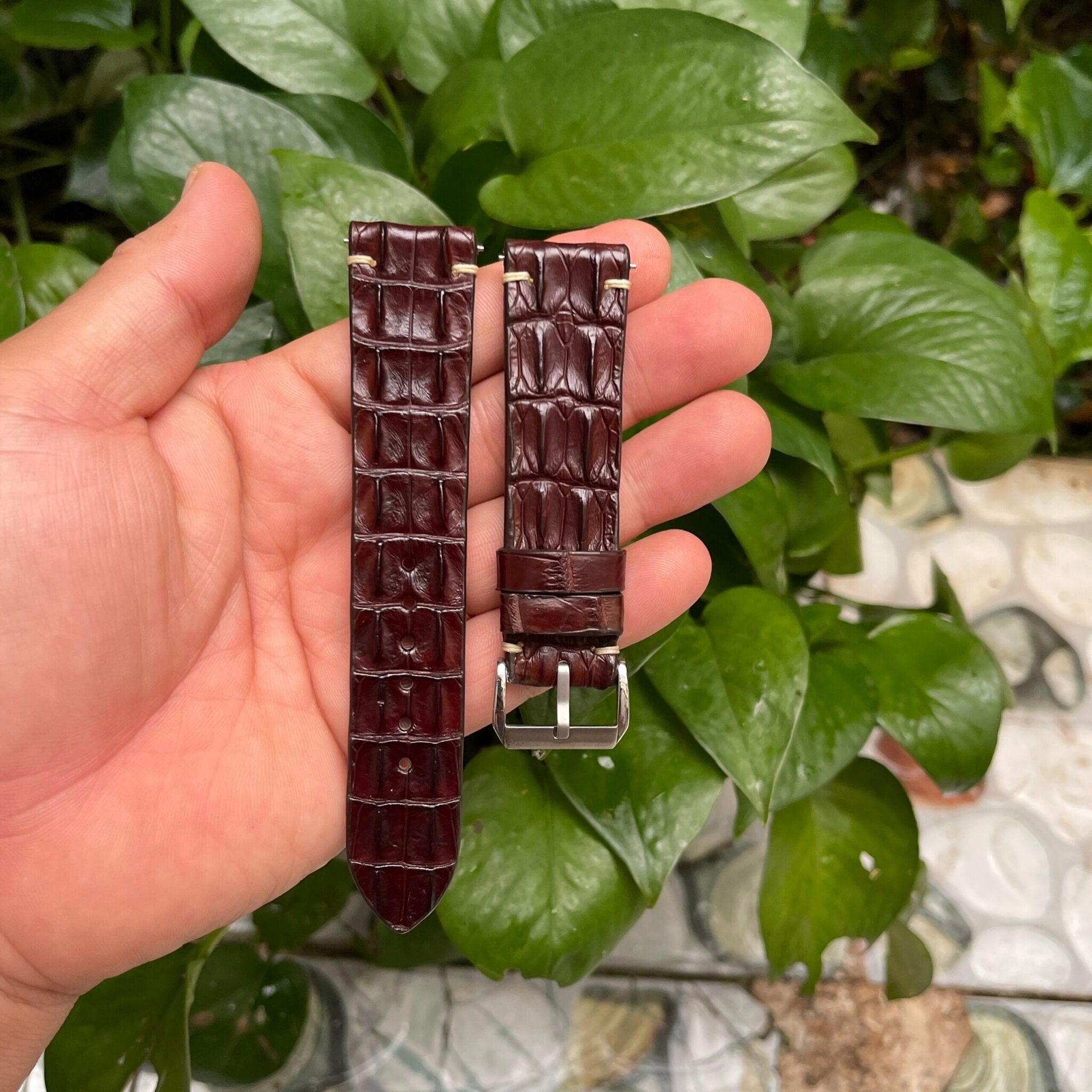 Genuine Brown Double Hornback Alligator Leather Watch Strap 3