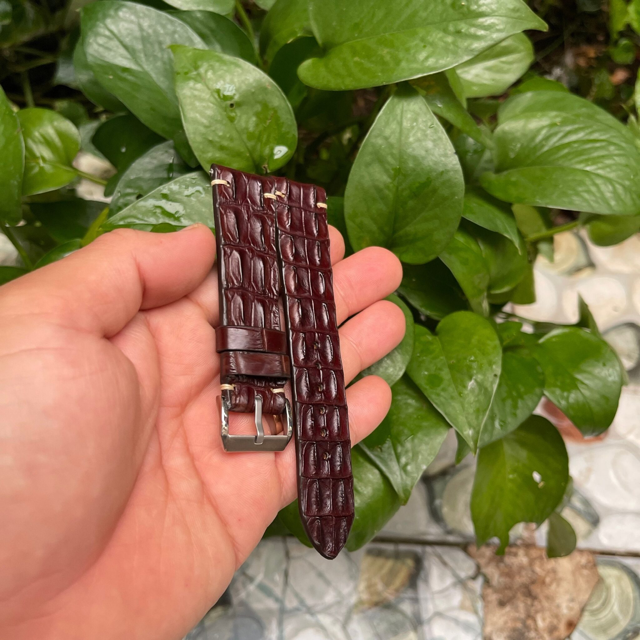 Genuine Brown Double Hornback Alligator Leather Watch Strap 6