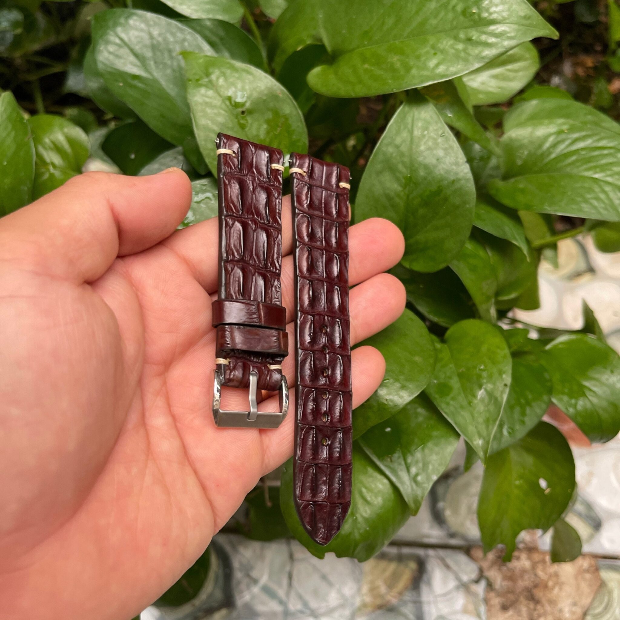 Genuine Brown Double Hornback Alligator Leather Watch Strap 7