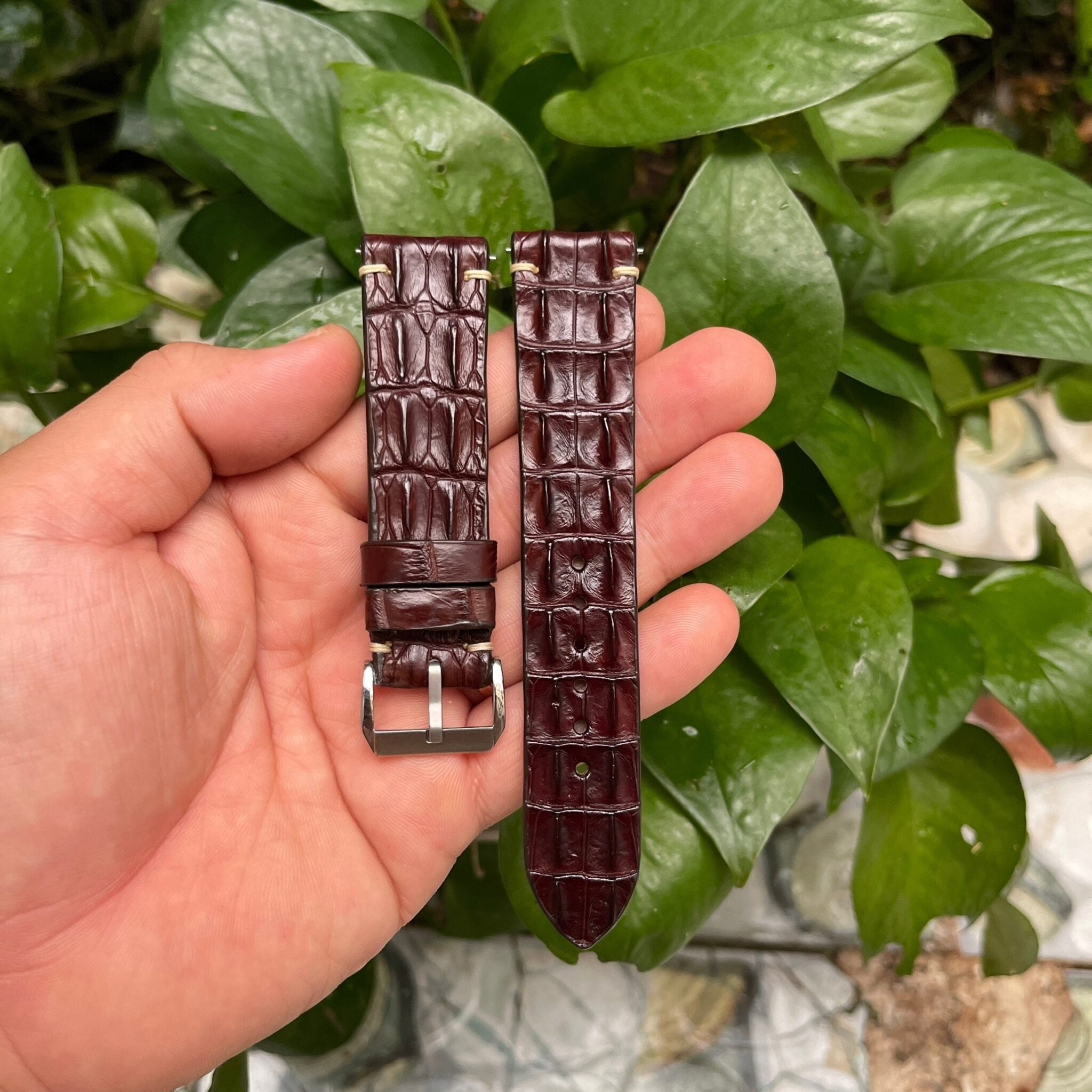 Brown Double Hornback Alligator Leather Watch Strap