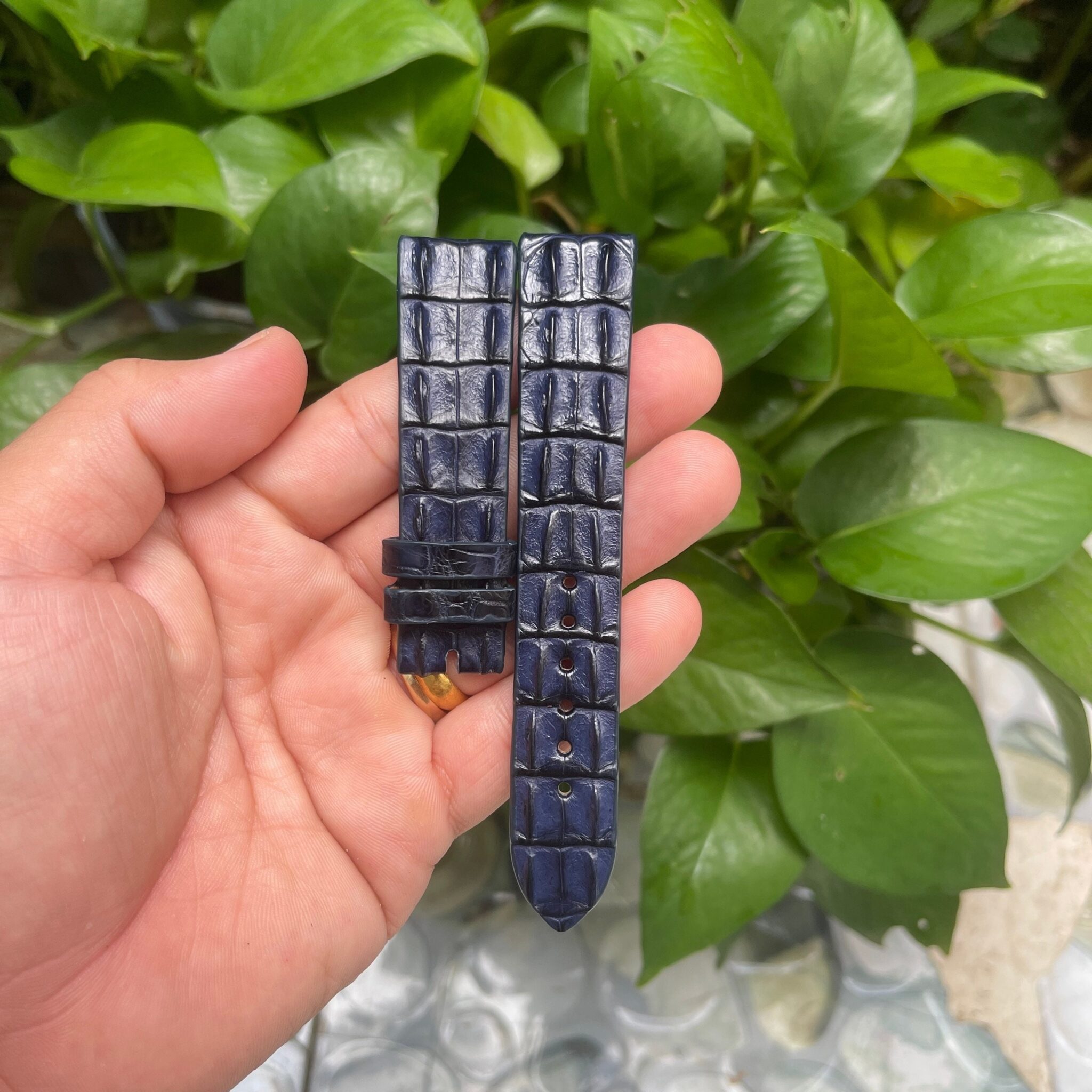 Navy Blue Double hornback Alligator Leather Watch Strap 1