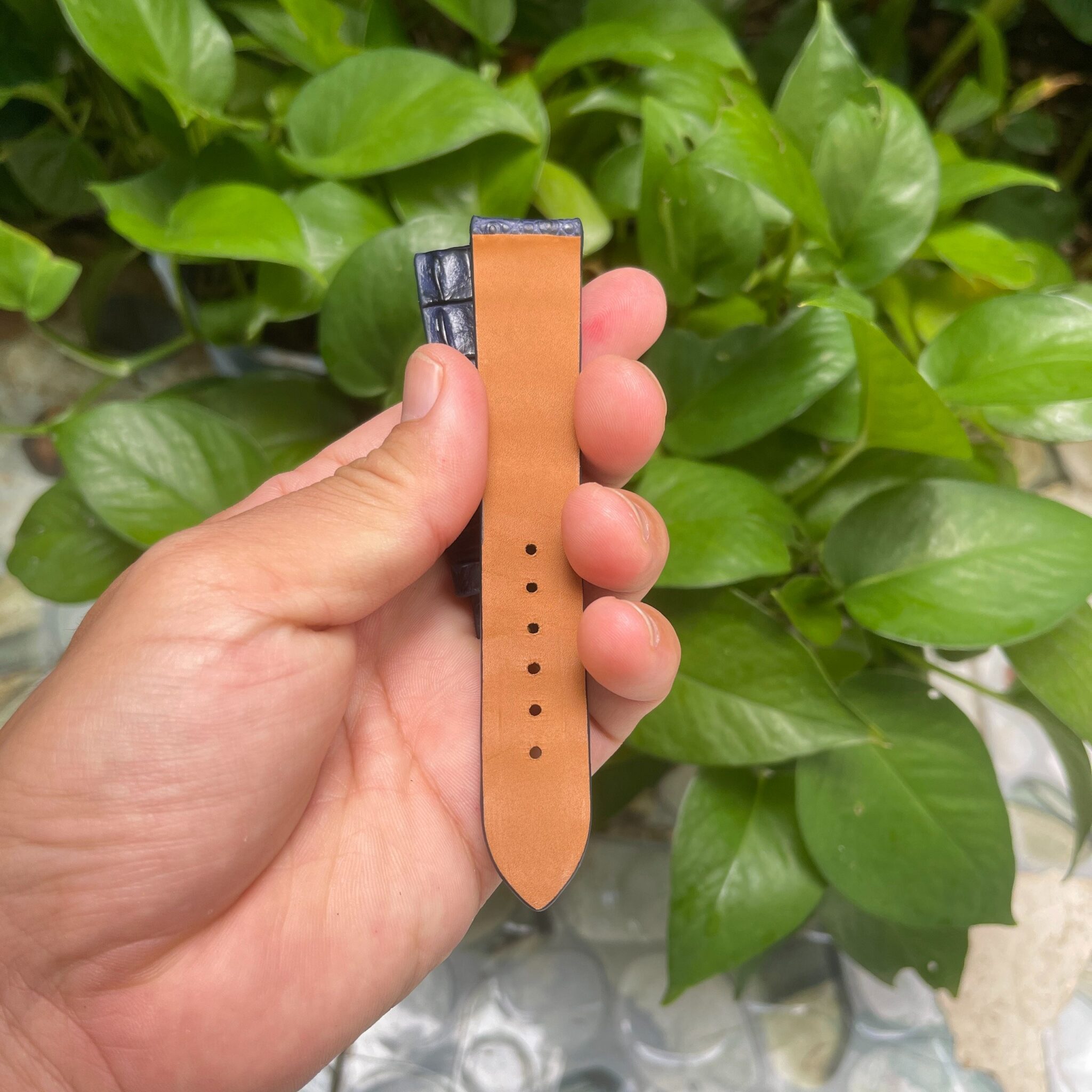 Navy Blue Double hornback Alligator Leather Watch Strap 2