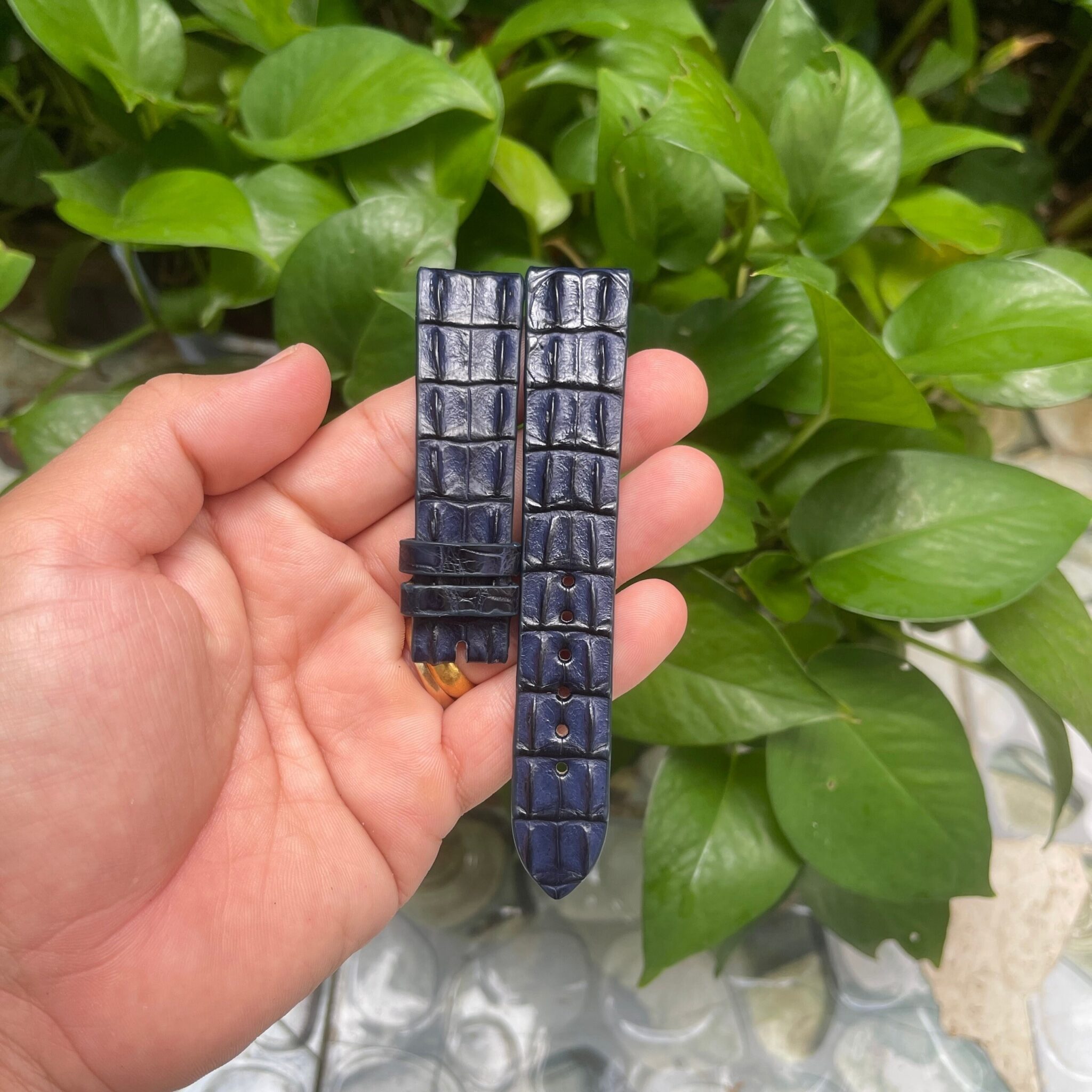 Navy Blue Double hornback Alligator Leather Watch Strap 3