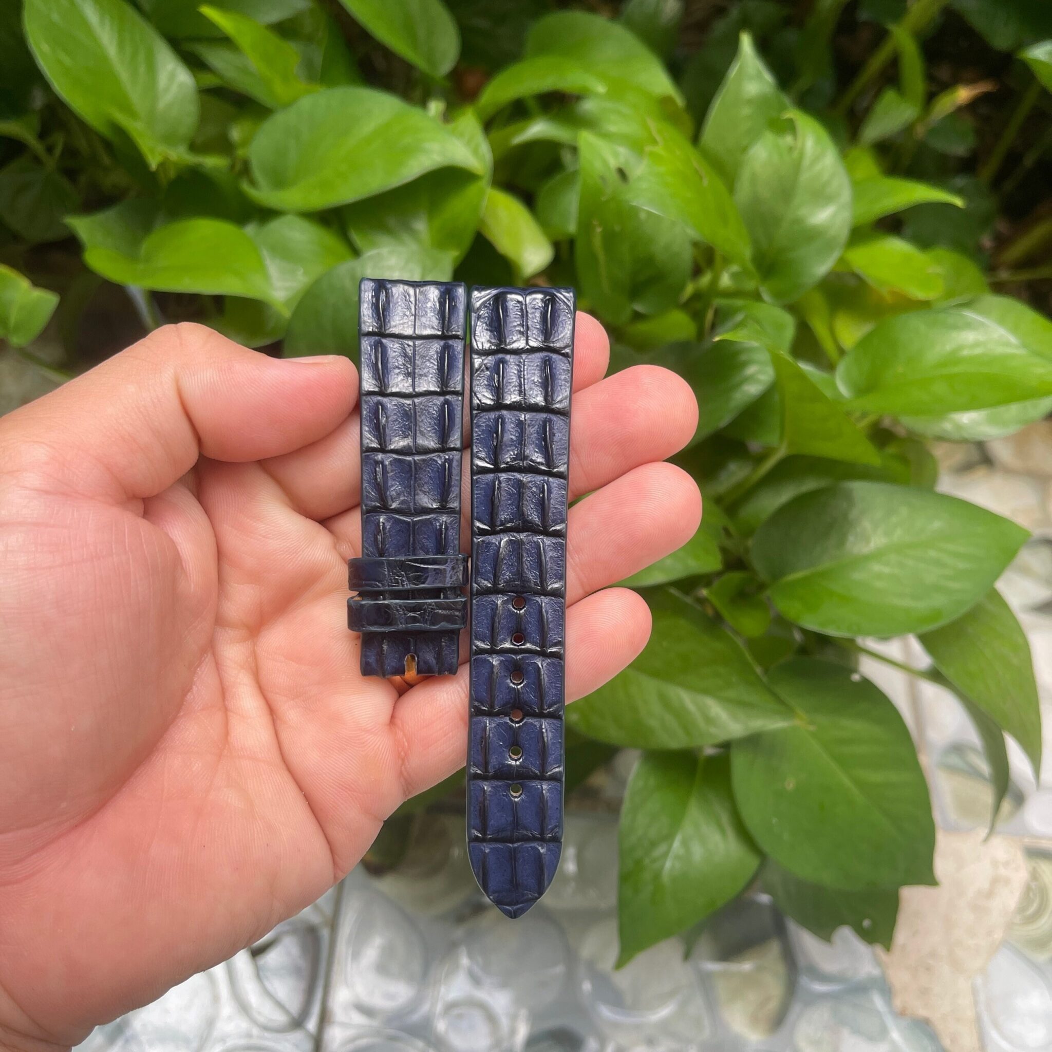 Navy Blue Double hornback Alligator Leather Watch Strap 4