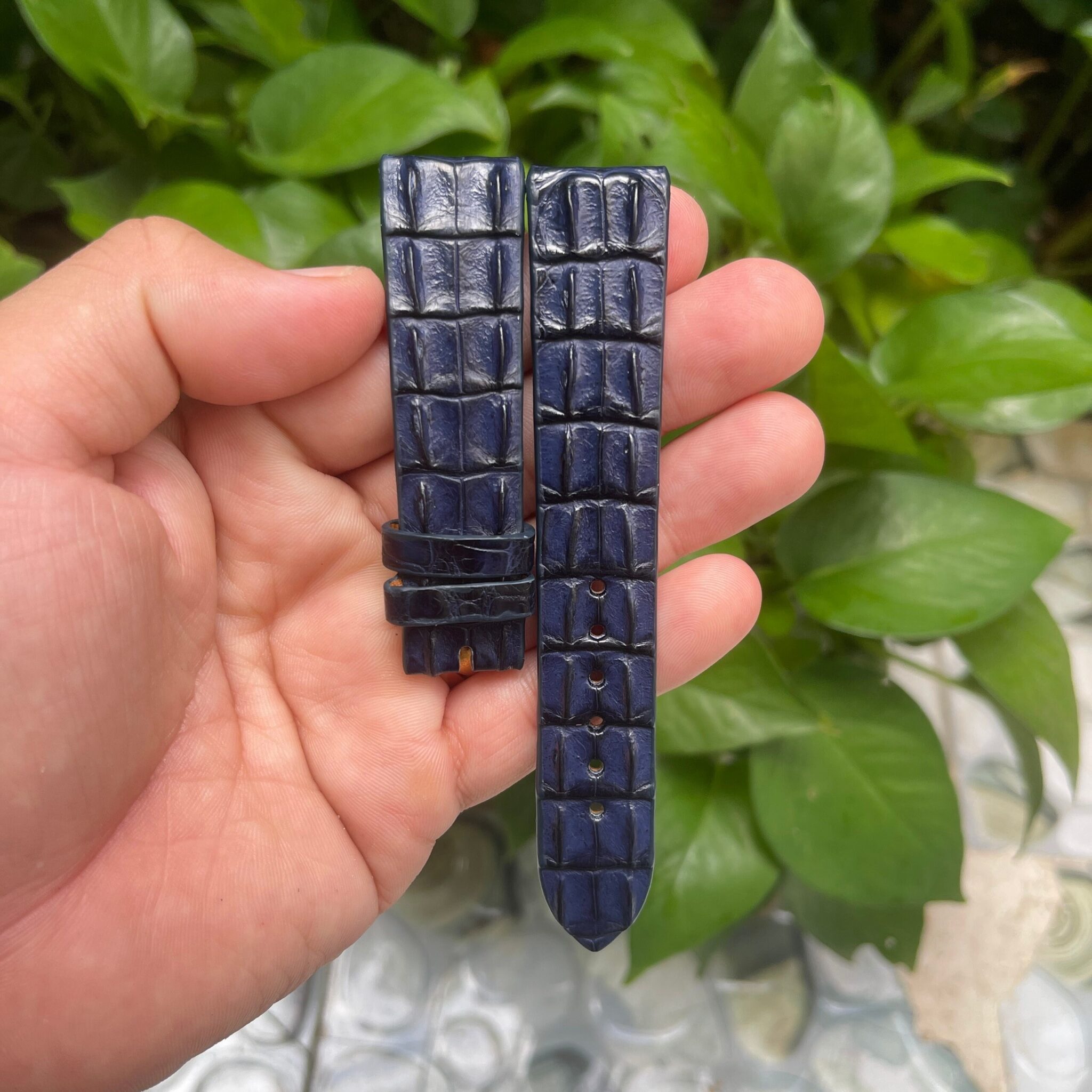 Navy Blue Double hornback Alligator Leather Watch Strap 6