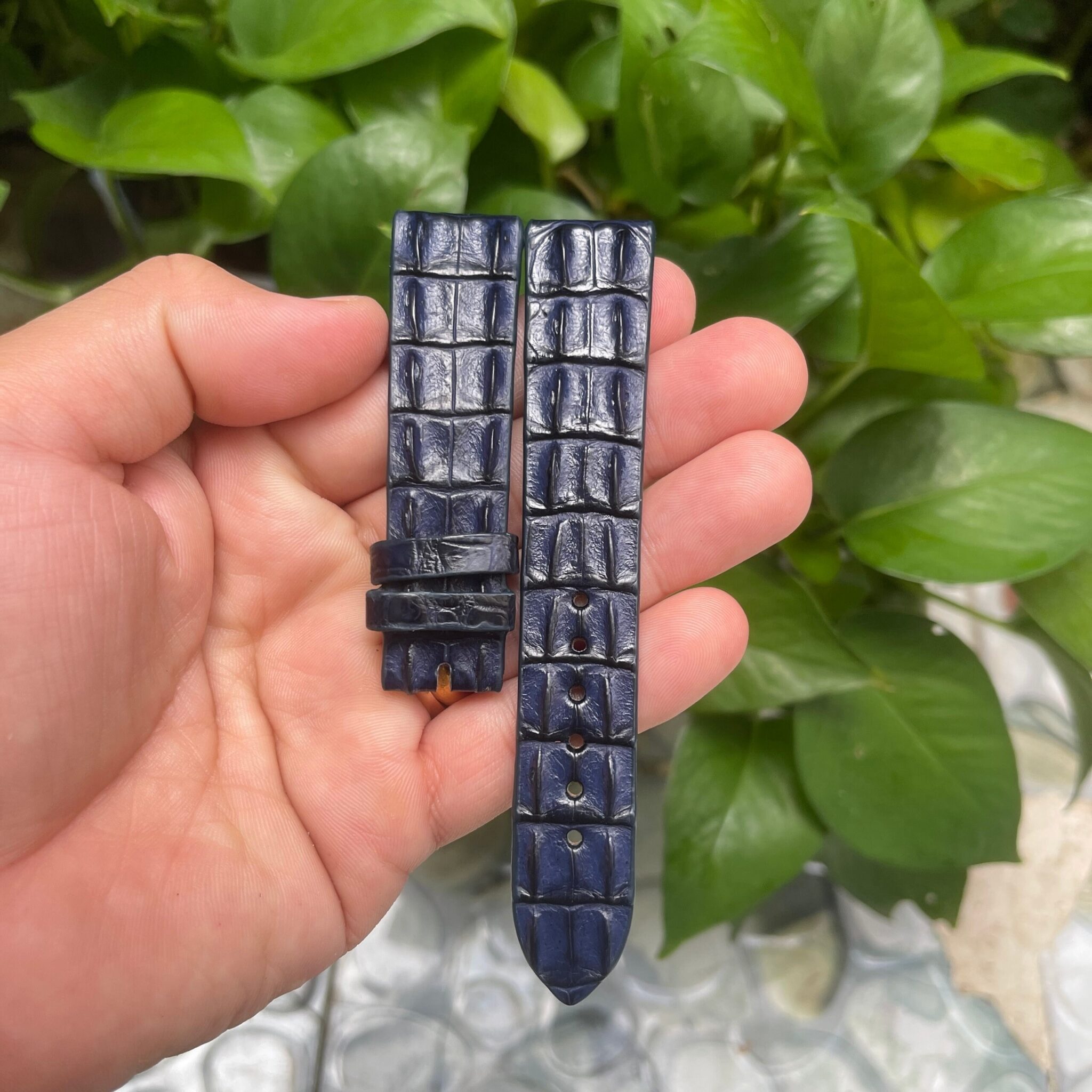 Navy Blue Double hornback Alligator Leather Watch Strap 7