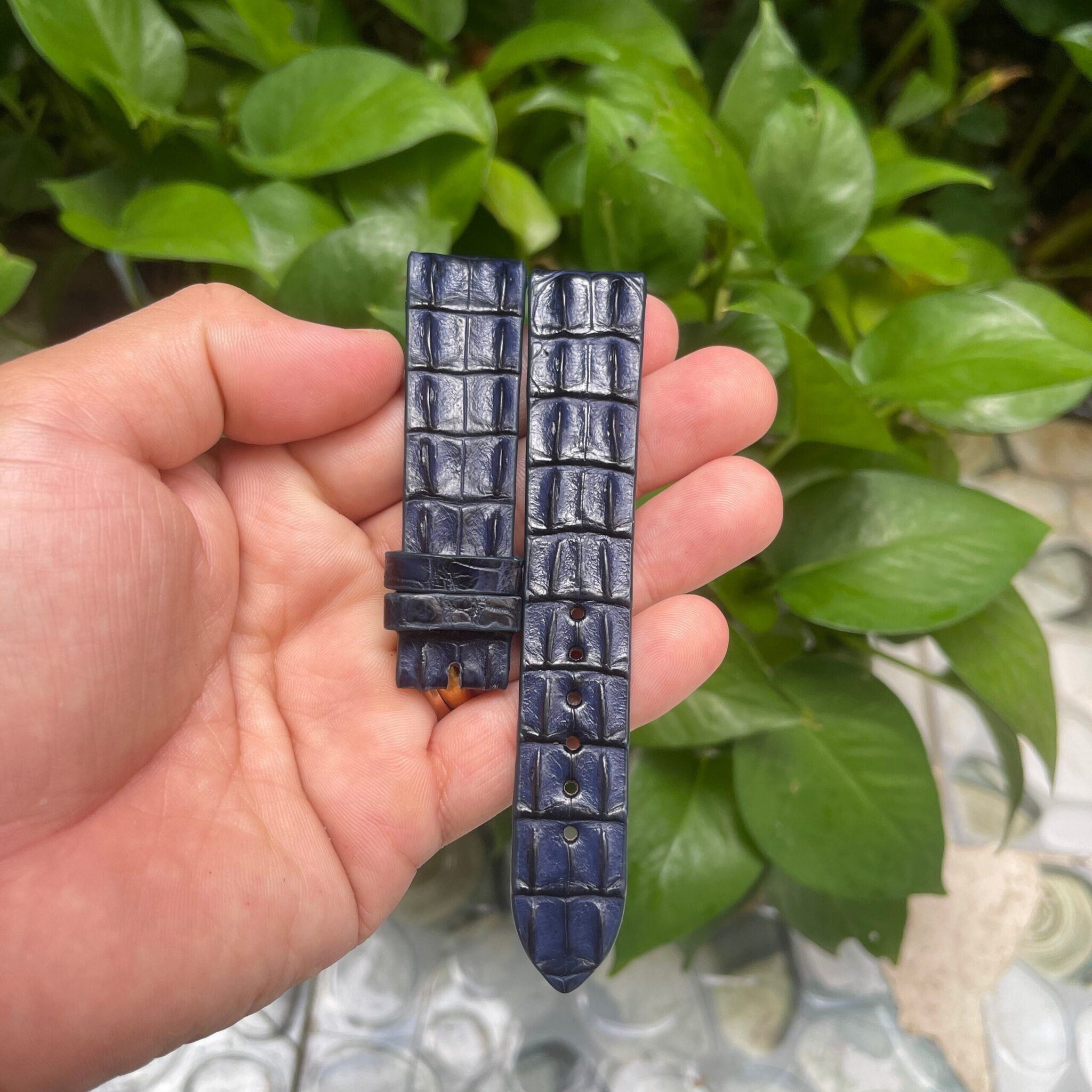 Navy Blue Double hornback Alligator Leather Watch Strap 9