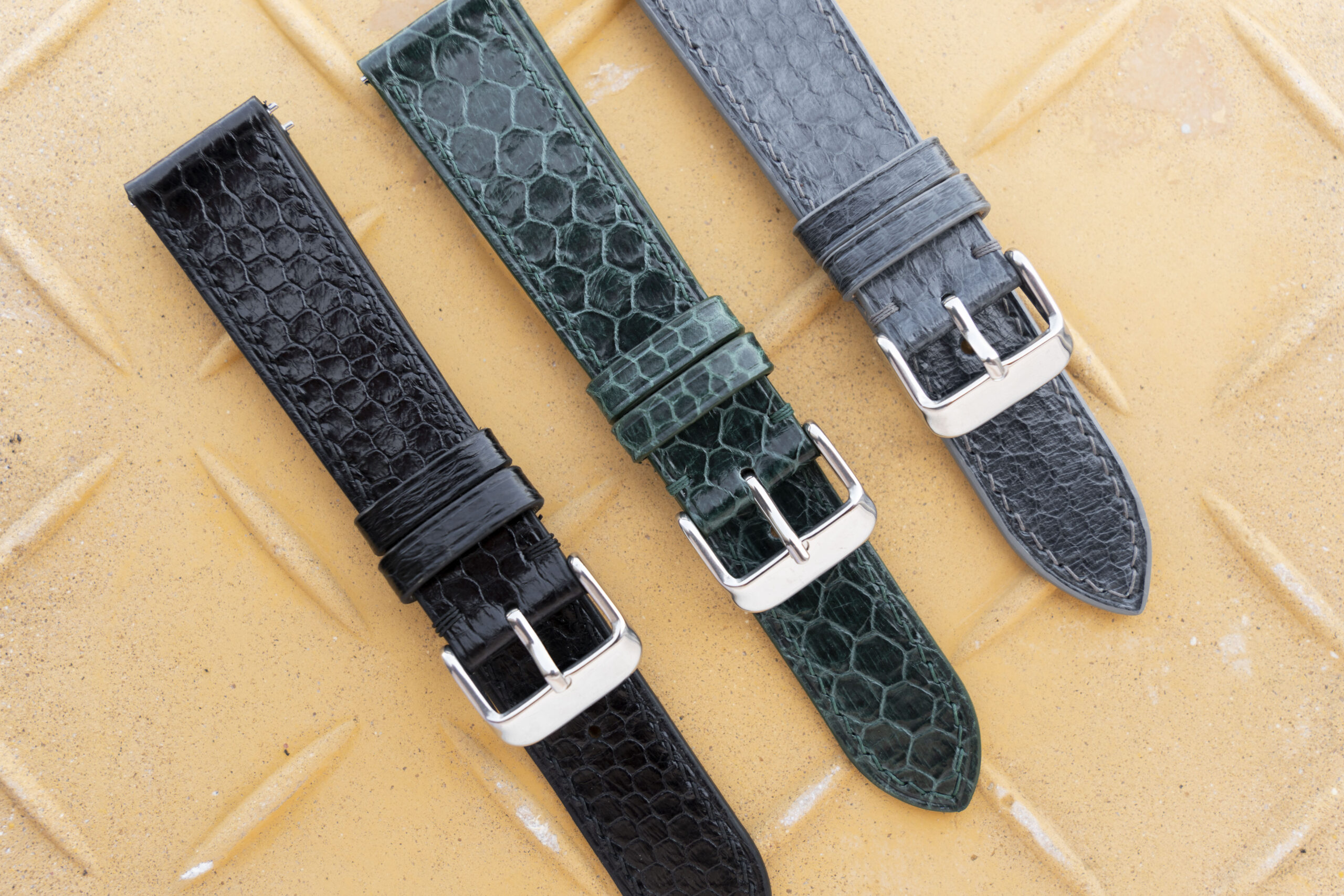 sea snake variation scaled