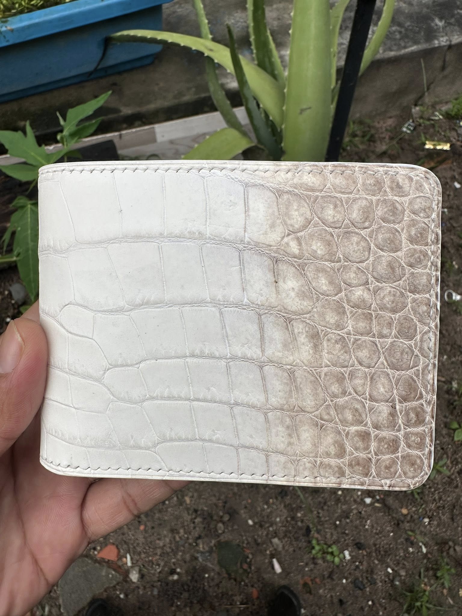 White Himalaya Alligator Leather Bifold Wallet