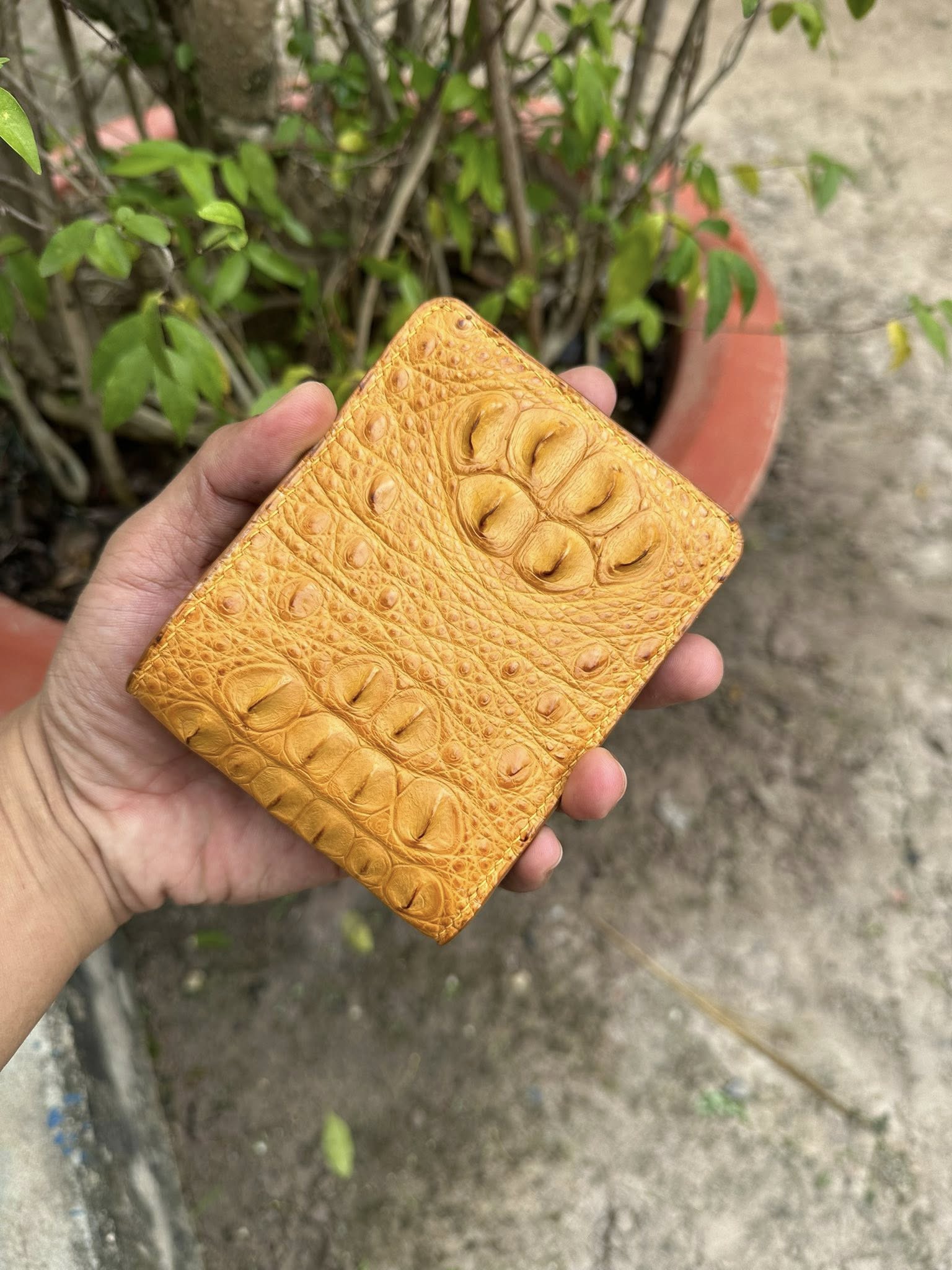 Yellow Double Alligator Hornback Leather Bifold Wallet