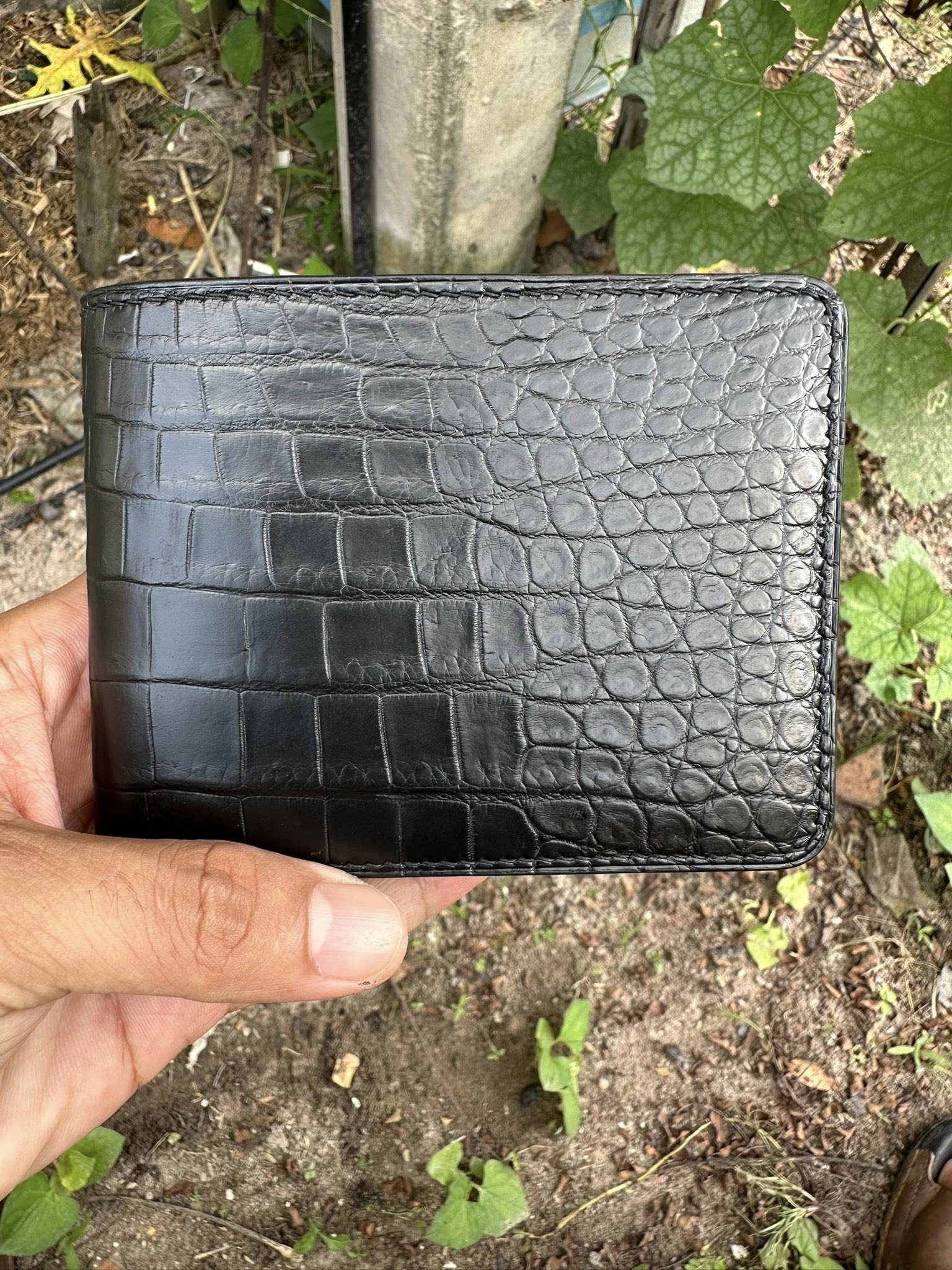 Black Alligator Leather Bifold Wallet For Men