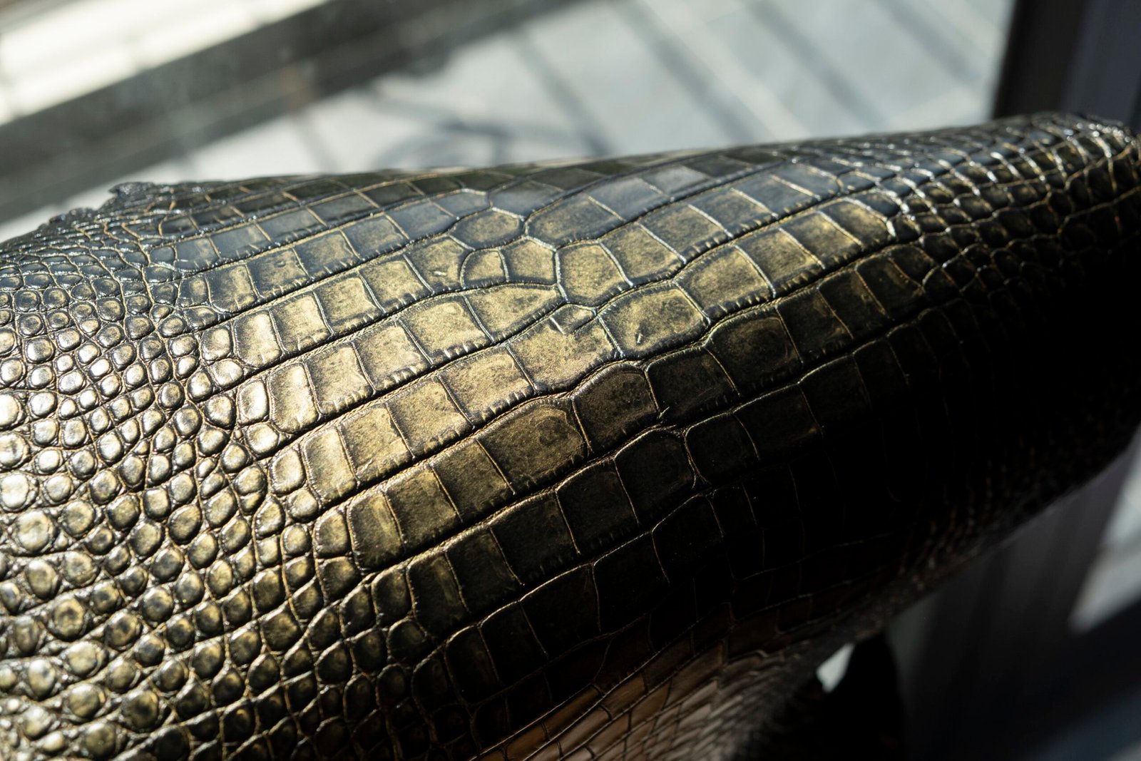 olive ocean pearl alligator